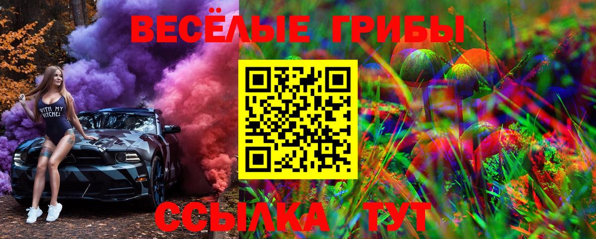 Псилоцибиновые грибы мицелий Чайковский